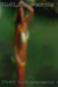 Trinidadarmentor from Elm